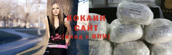 соль ск Новодвинск