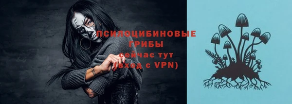 соль ск Новодвинск