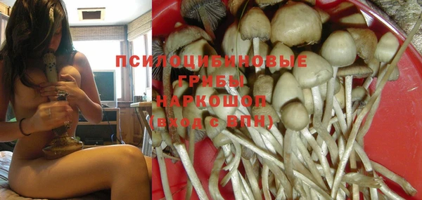 метадон Новозыбков