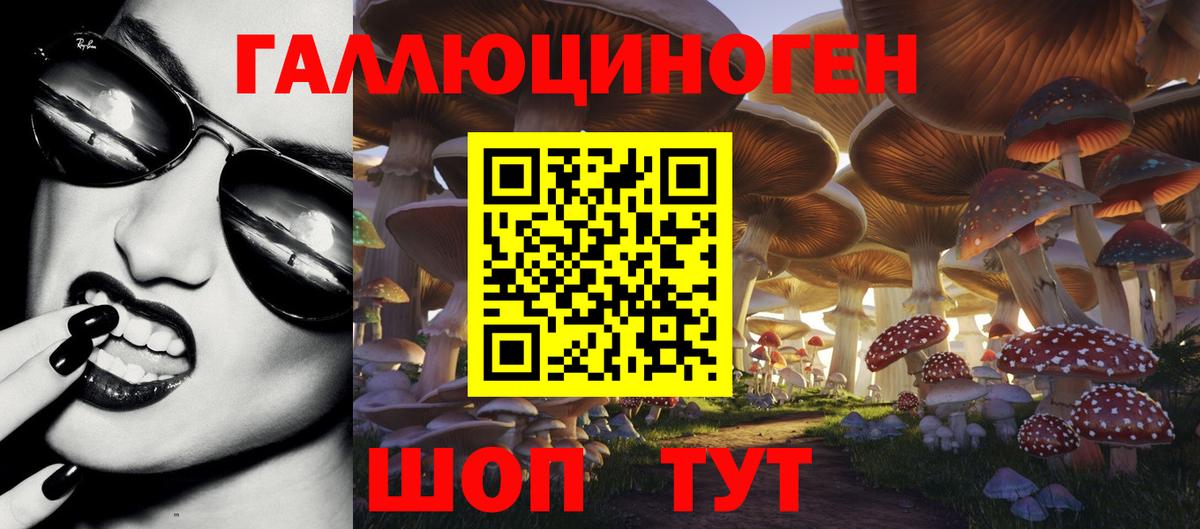 Псилоцибиновые грибы GOLDEN TEACHER  Вход с VPN  Прокопьевск 